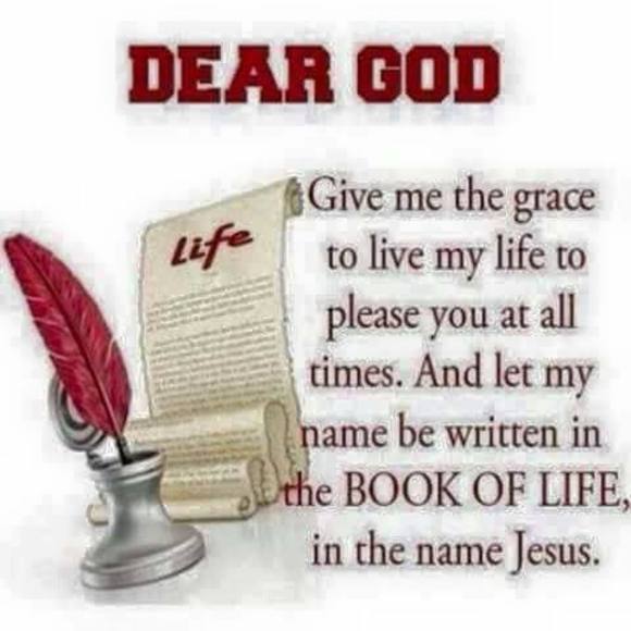 Meet your Posher, Brenda - Picture 1 of 1